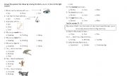 English Worksheet: animals and parts of body