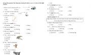 English worksheet: animals and parts of body