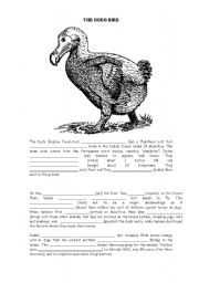 English Worksheet: the Dodo bird