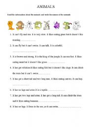 English Worksheet: describing animals