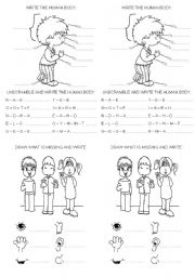 English Worksheet: HUMAN BODY