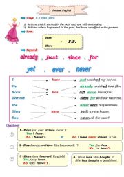 English Worksheet: Present Perfect