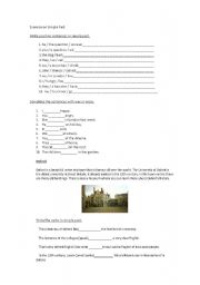 English worksheet: exercise simple past