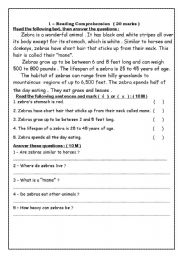 English worksheet: zebra