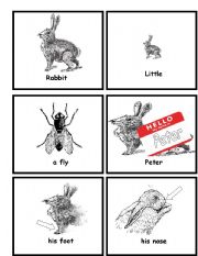 English Worksheet: Little Peter Rabbit Flashcards