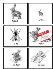 English worksheet: Little Peter Rabbit Flashcards