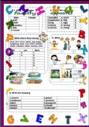 English Worksheet: vocabulary test