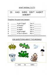 English Worksheet: Animal questions.