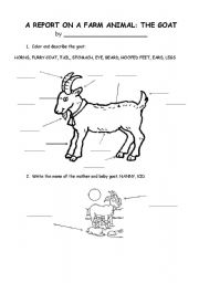 English worksheet: The Goat 1