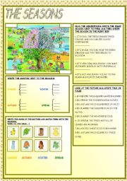 English Worksheet: THE SEASONS