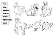 English Worksheet: Pets