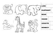 English Worksheet: Wild animals