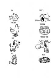 English Worksheet: Animals and Homes