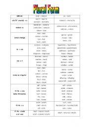 English Worksheet: Plural Form
