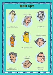 English Worksheet: Facial Types