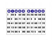 English Worksheet: Bingo Numbers 1 to 100