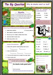 English Worksheet: Why do skunks smell so bad?  A science question. 10