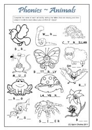 English Worksheet: Phonics Animals