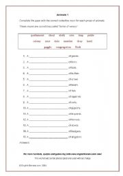 English Worksheet: Animals