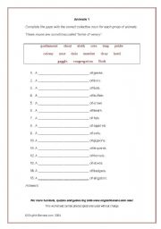 English worksheet: Animals