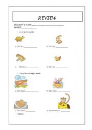 English Worksheet: animals (big small) parts of the body