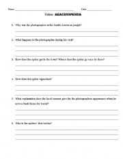 English Worksheet: Arachnophobia