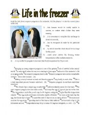 English Worksheet: Life in the Freezer