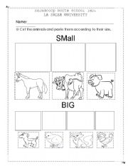 English worksheet: Sizes