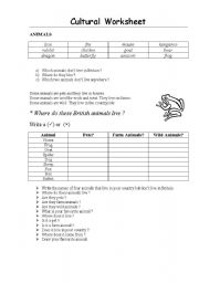 English worksheet: cultural worksheet