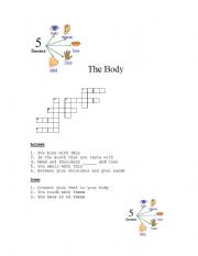English worksheet: the Body