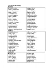 English Worksheet: collective nouns