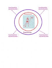 English worksheet: Bullseye Graphic Organizer for Demonstrative Adjectives