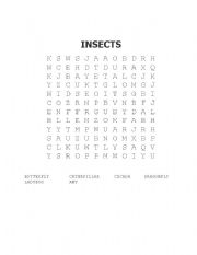 English Worksheet: INSECTS word search