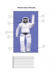 English Worksheet: body parts
