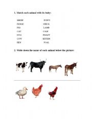 English worksheet: ANIMALS 