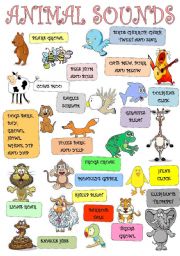 English Exercises: Animal Sounds