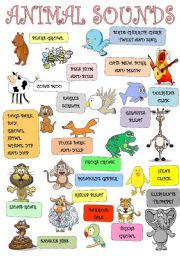 English Worksheet: Animal sounds