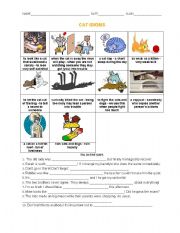 Cat Idioms