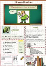 English Worksheet: Why does pepper make us sneeze? A science Question. 12