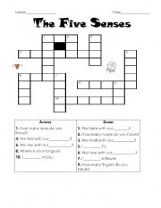 English Worksheet: The Five Senses crossword 