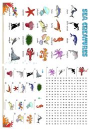 English Worksheet: SEA CREATURES