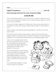 English Worksheet: A Little Bit Wild Reading Study