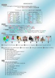 English Worksheet: INTERROGATIVE FORM