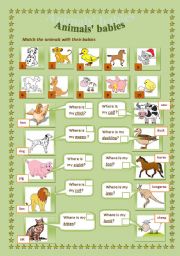 English Worksheet: animals babies