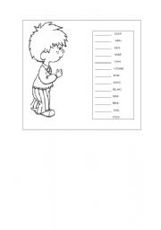 English Worksheet: parts of the body