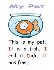 English Worksheet: MY PET