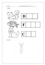 English worksheet: ANIMALS