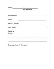 English worksheet: Insect Reseach Form