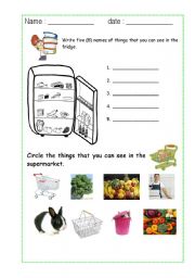 English Worksheet: what can you see in the