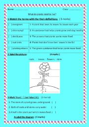 English Worksheet: What do plants need to live?